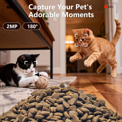 6L Automatic Cat Feeder, Cat Automatic Feeder with Camera, 180° Wide Angle 2MP & Two-Way Talk Feature & Voice Recording & 5Ghz 2.4Ghz Wifi