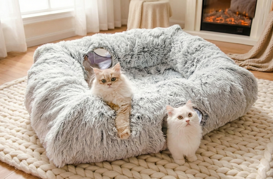 XL Cat Tunnel with Peekaboo Caves & Donut Bed